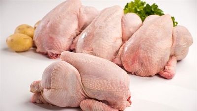 فراخ 1200جم - الأنبا هيرمينا السائح