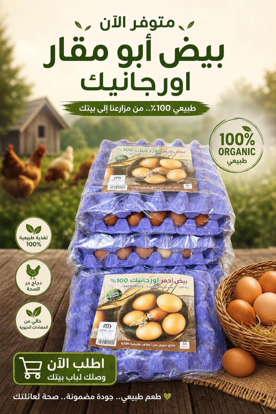 طبق بيض احمر اورجانيك - دير ابو مقار