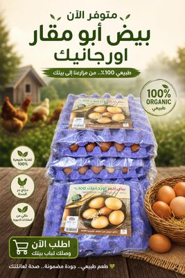 طبق بيض احمر اورجانيك - دير ابو مقار