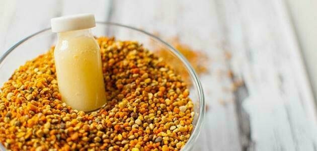 غذاء ملكات 5 جم - اول السواح غذاء ملكات 5 جم - اول السواح