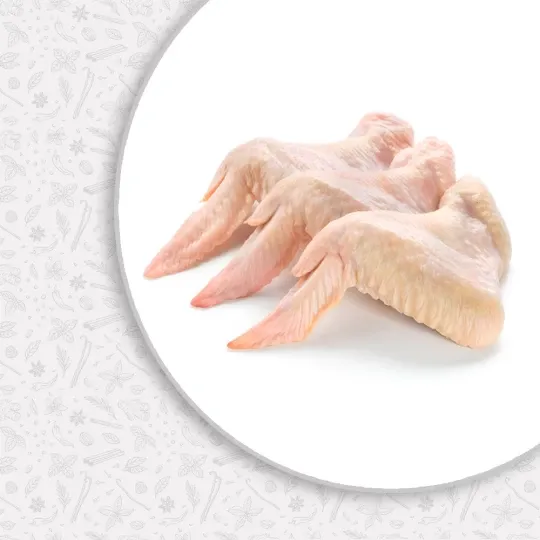 اجنحة 1 ك - الانبا هيرمينا السائح