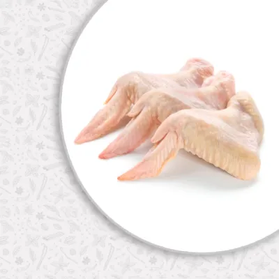 اجنحة 1 ك - الانبا هيرمينا السائح
