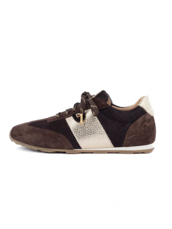 Java sneakers dark brown choco gold | Babouche