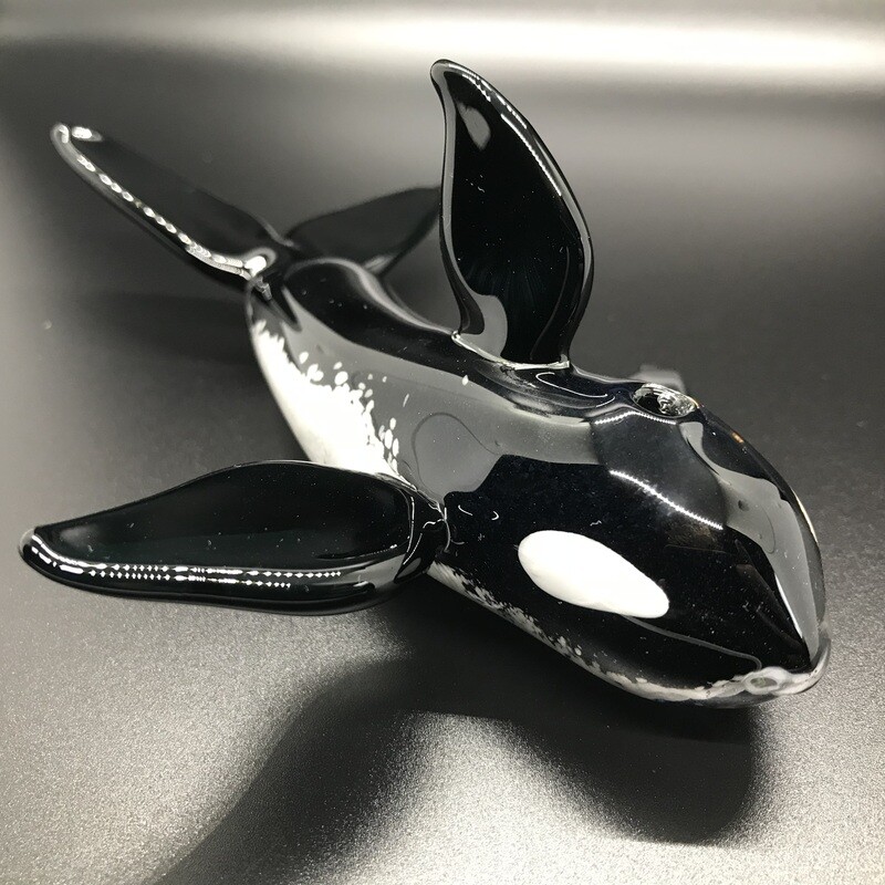 Orca Whale