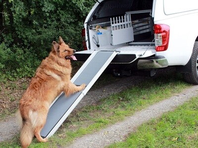 Telescoping Dog Ramp for Pick-Up Truck