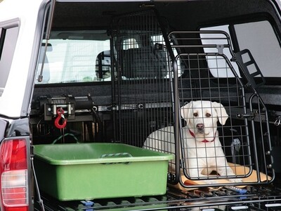 Road Ranger Deer Carcass Transport Tray