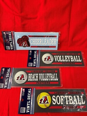 SDS Beach Volleyball Decal