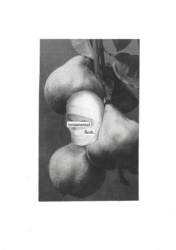 &#39;ornamental flesh&#39; A5 original collage