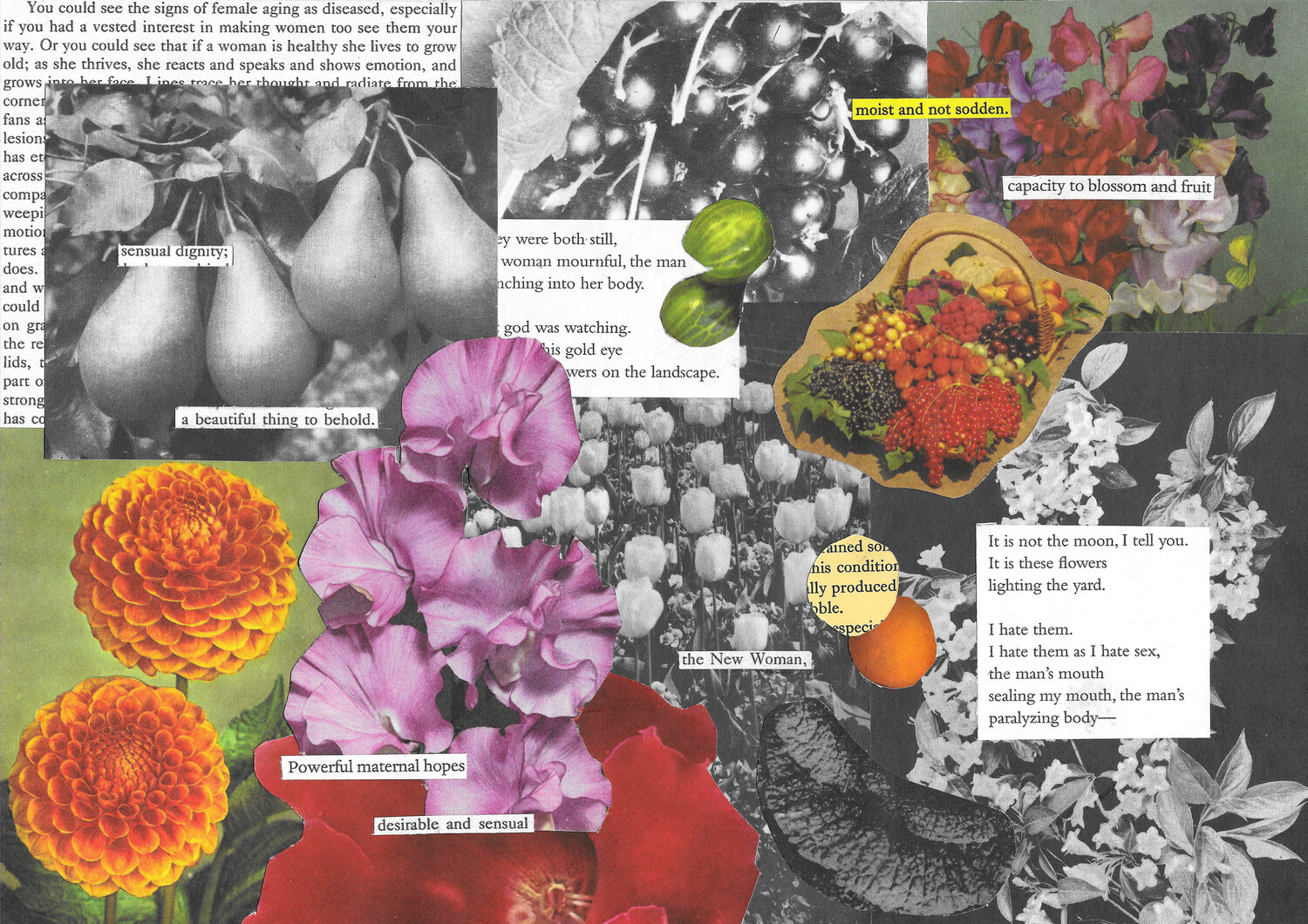 &#39;the new woman (ode to Carole Schneemann)&#39; collage - framed giclée print