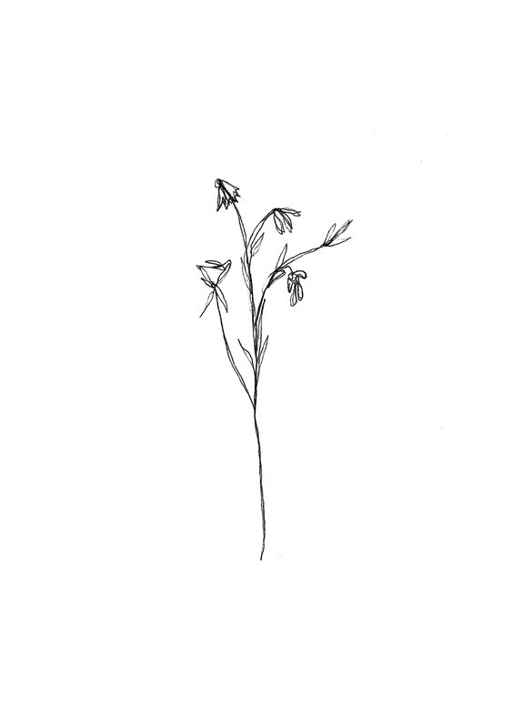 &#39;bouquet de fleurs&#39; drawing - a5 giclée print