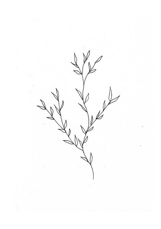 &#39;wild vine&#39; drawing - a5 giclée print
