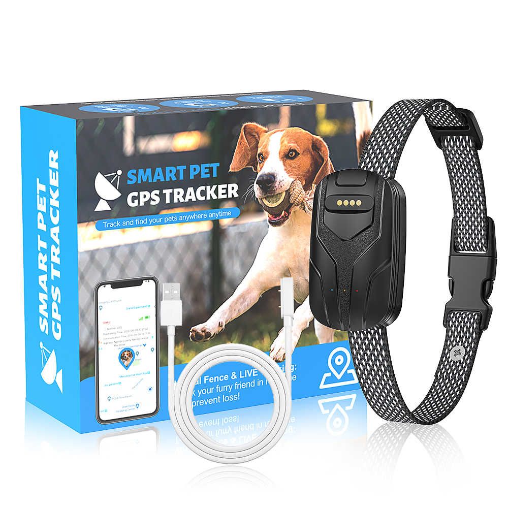 Collar GPS
