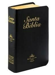 Biblias