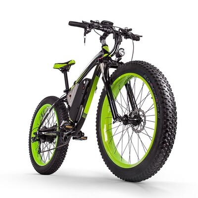 Electric bikes