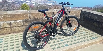 Mountain eBikes