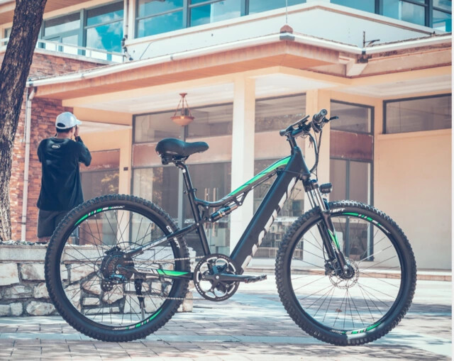 Paselec GS9x Mountain Bike