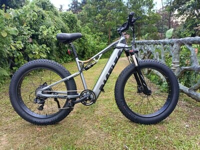 Paselec GS9-Plus electric bike
