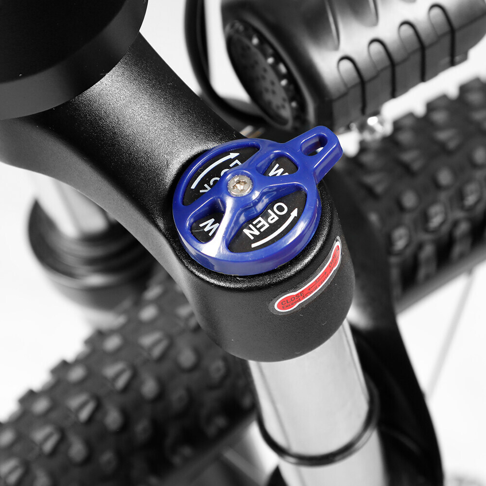 Paselec G9 Electric Mountain Bike