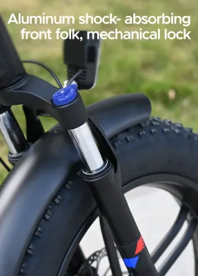 Engwe Engine X Electric Folding Bike