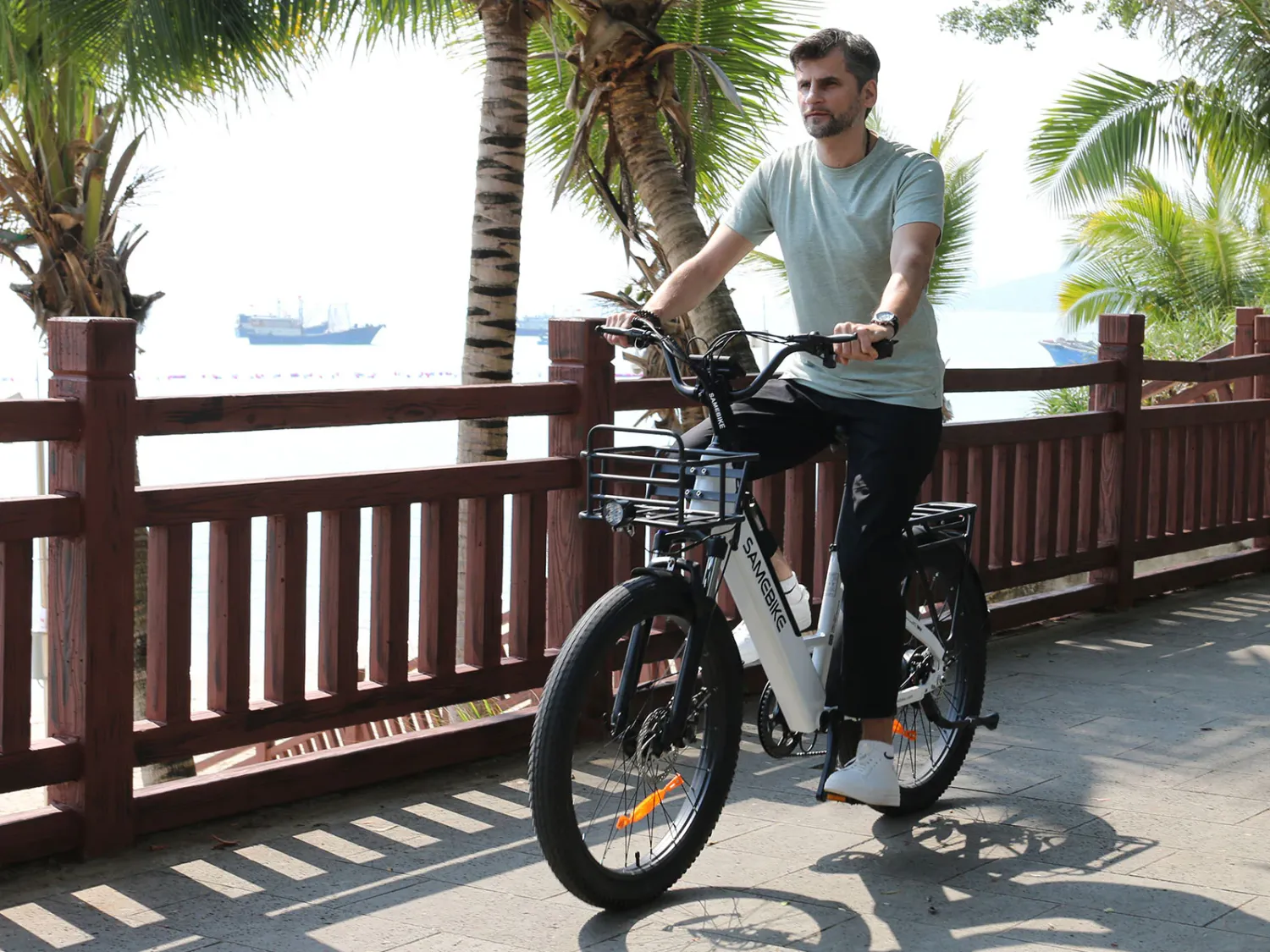 Samebike RS-A01-PRO Urban Electric Bicycle
