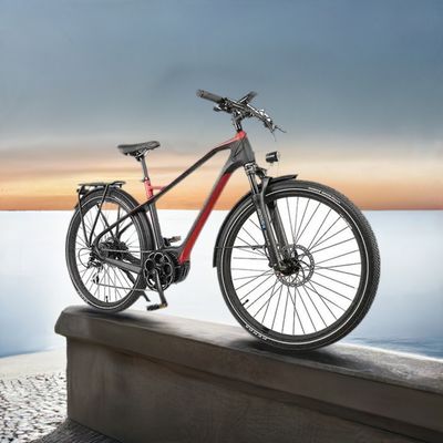 Leichten Carbon Fibre Electric Bicycle