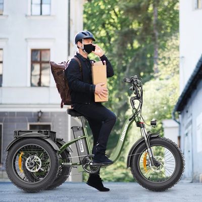 Hidoes Electric Tricycle with fat tyres