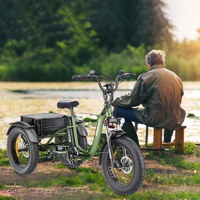 Electric Tricycles