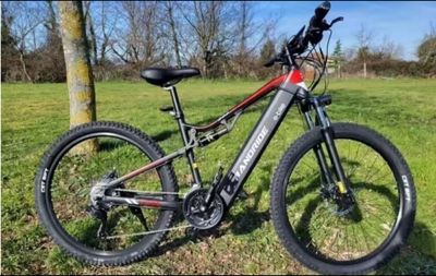 Randride YG90B Electric Mountain Bike