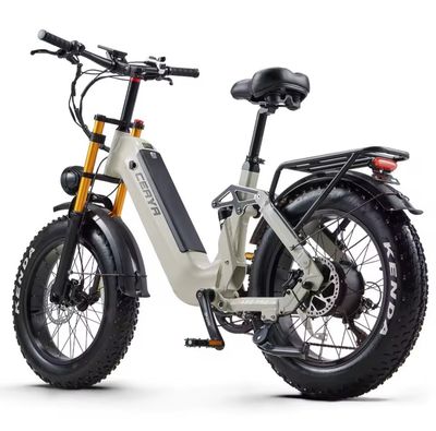 Ceaya A20 Pro Electric bike