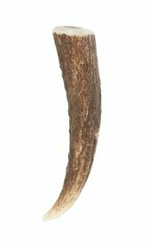 Staghorn Kilt Pins