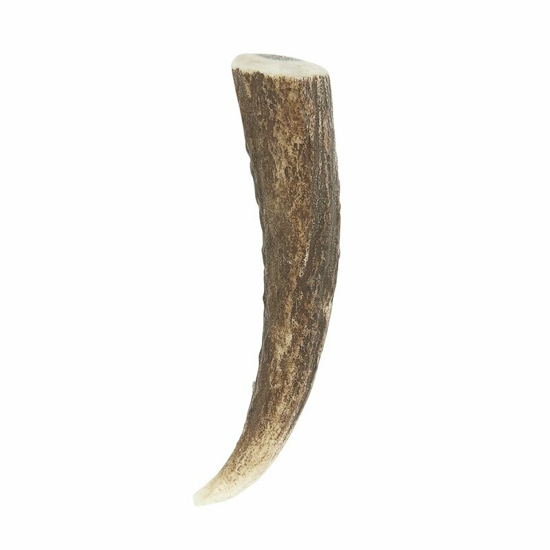 Stag Horn Tip Kilt Pin