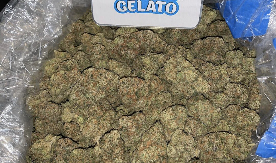 GELATO #41