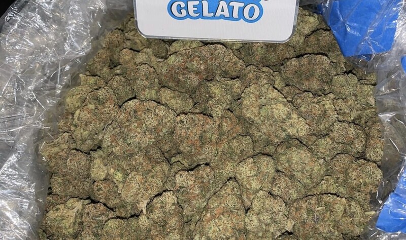GELATO #41