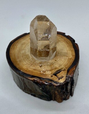 Starbrary Etched Quartz Point in a Wooden Stand