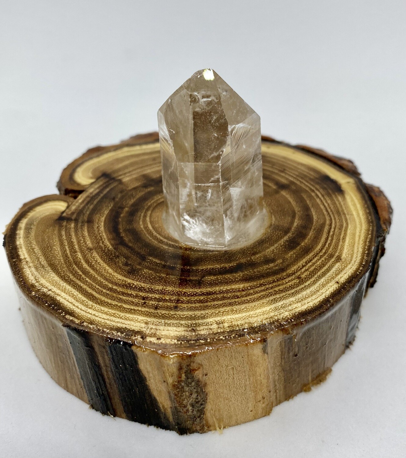 Clear Quartz Crystal in Black Locust Wooden Base