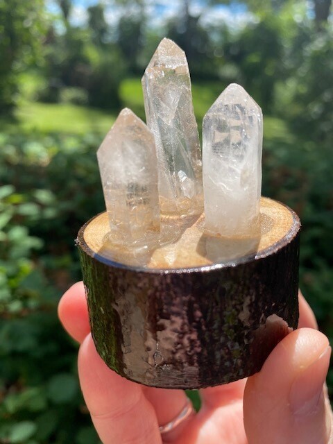 Clear Quartz Points in Wooden Base