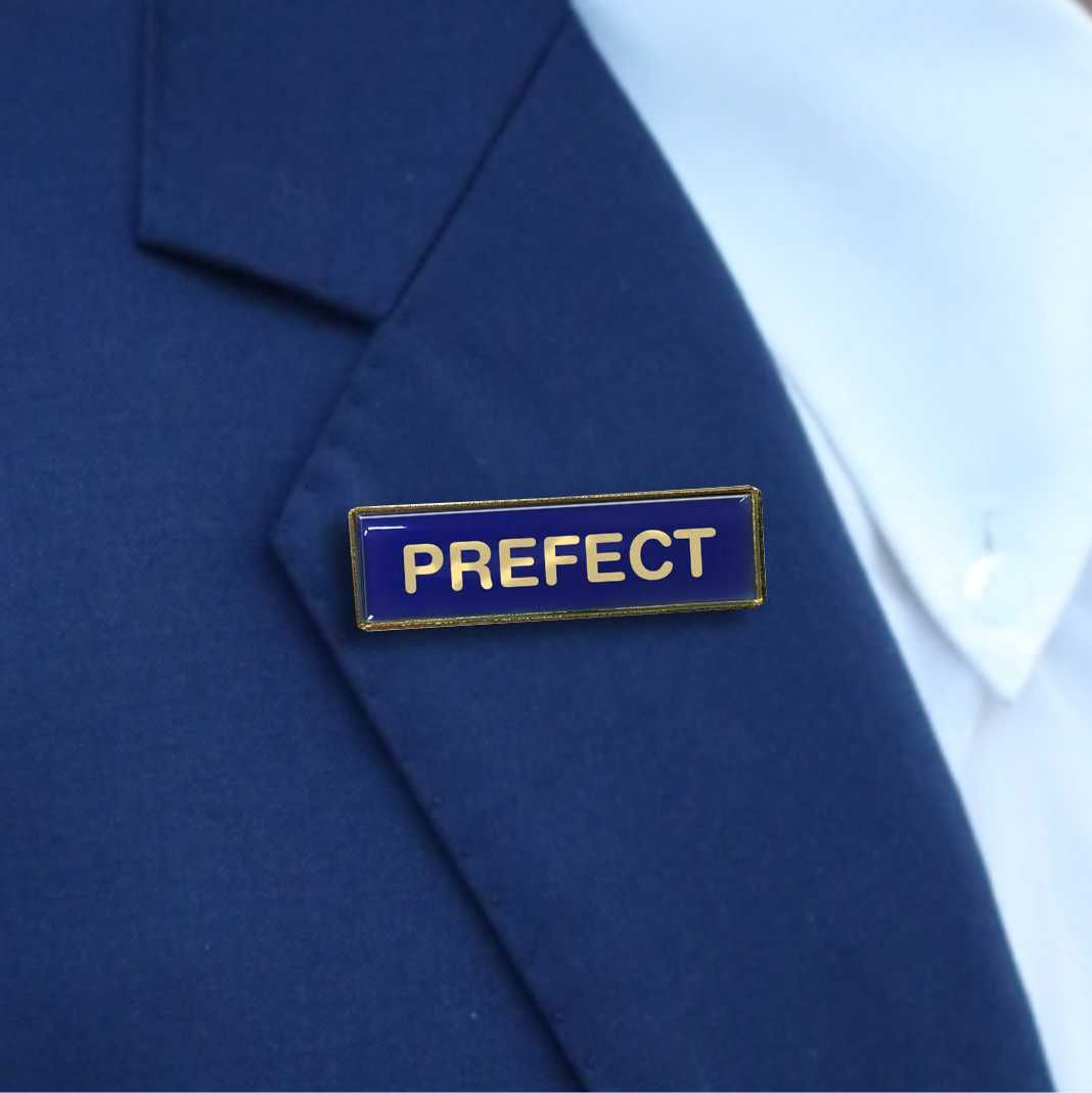 School Lapel Badges