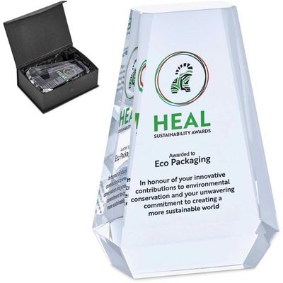 Ambient Award