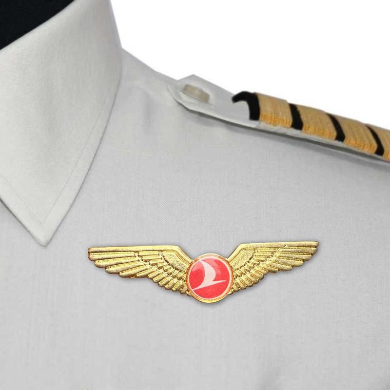 Wing Aviation 01 Lapel Badge