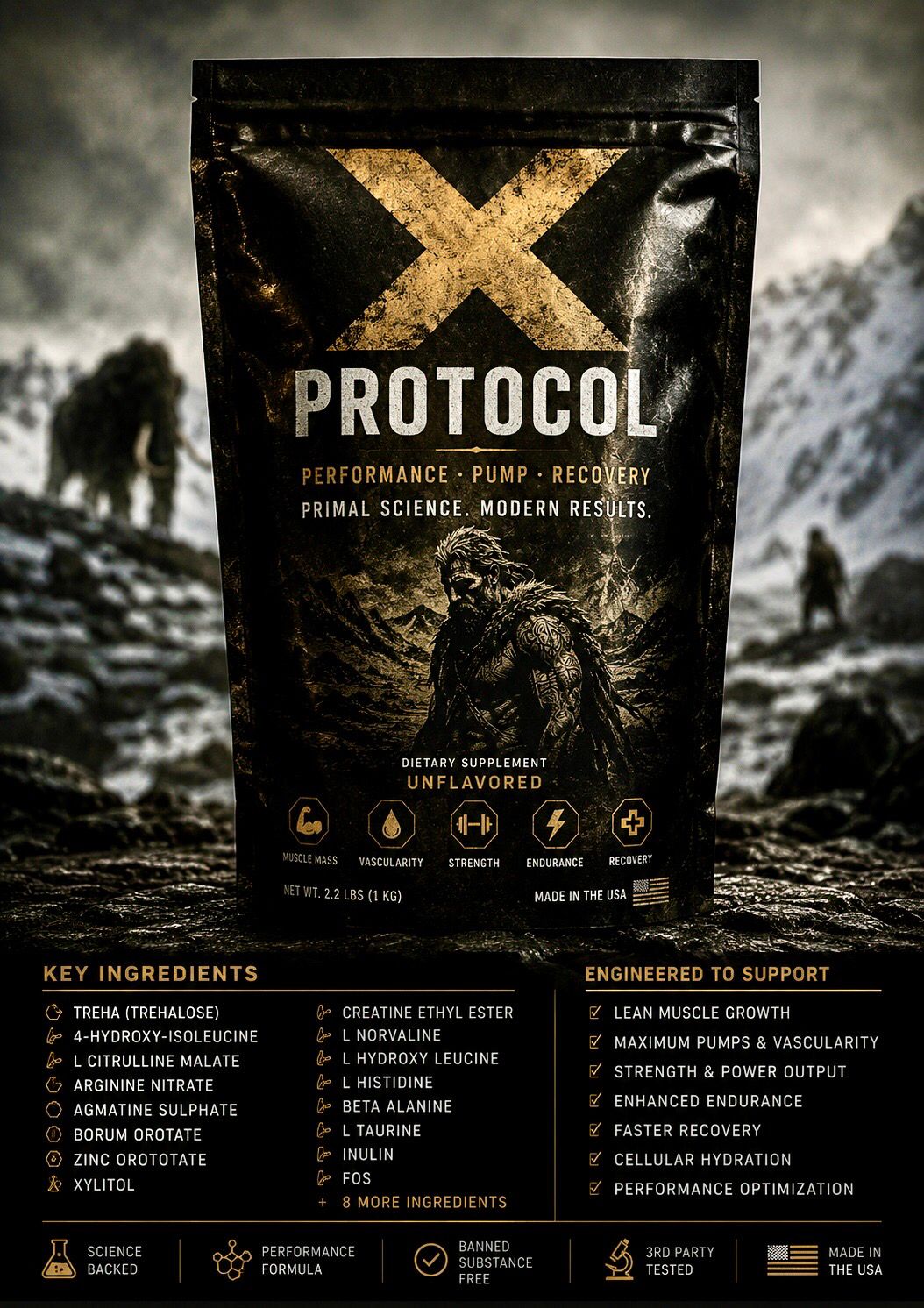 X Power [ X protocol ]