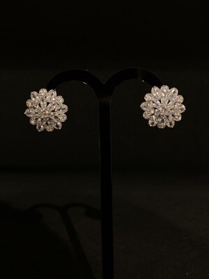 Aretes Pequeños