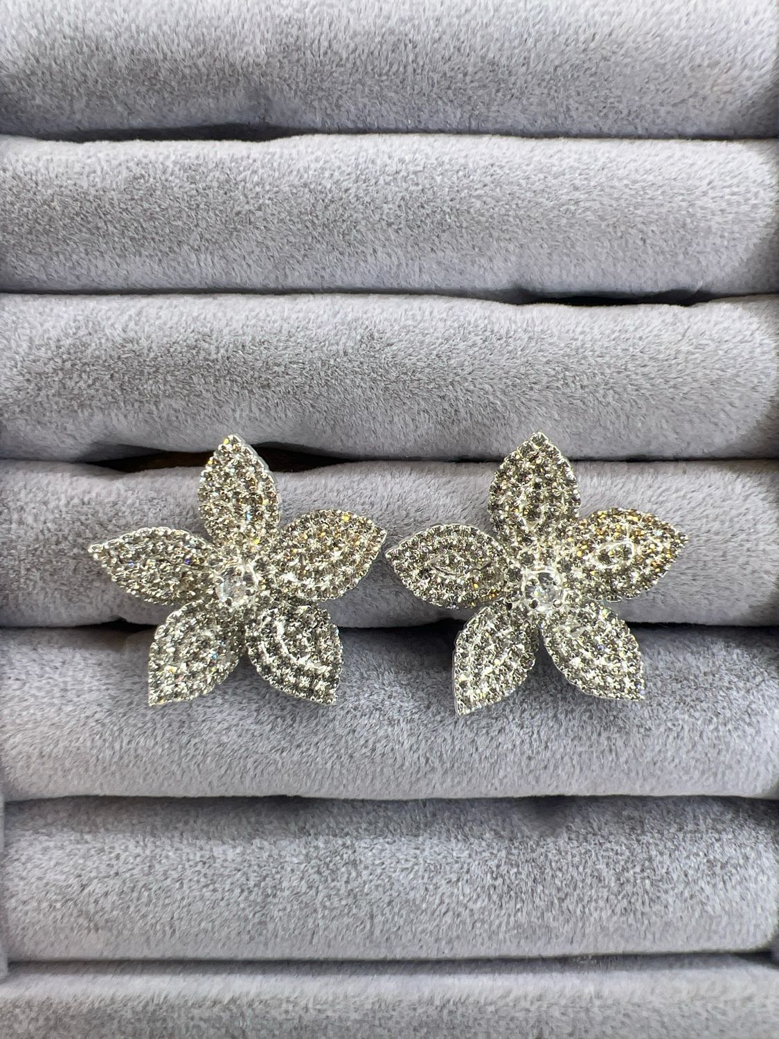 Aretes- Silver