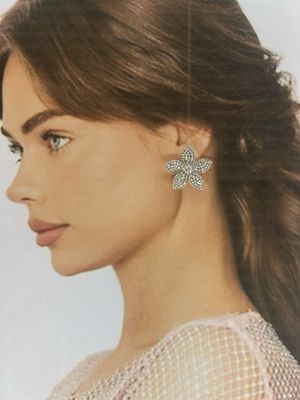 Aretes- Silver