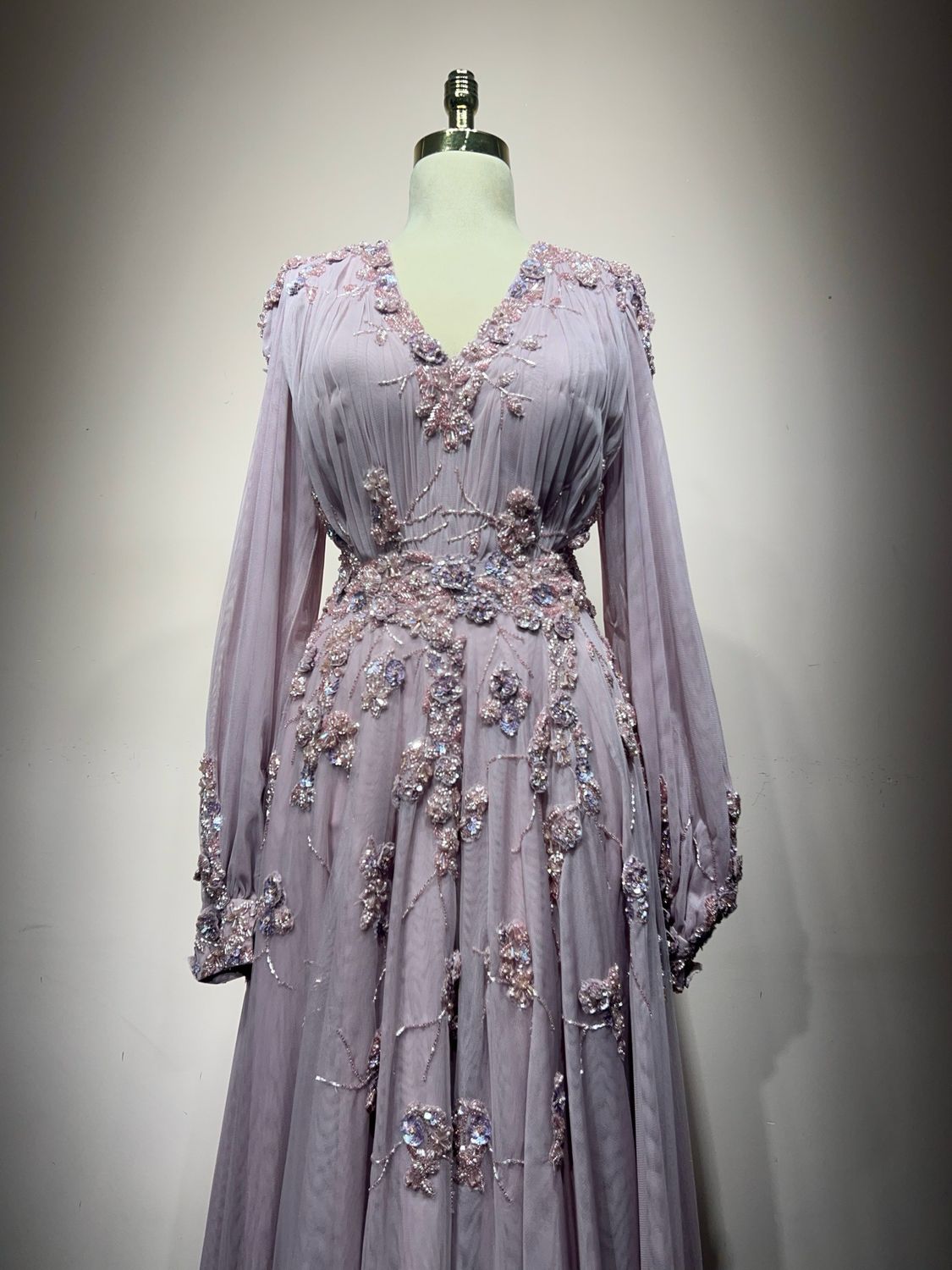 Long Sleeve, V neck Gown