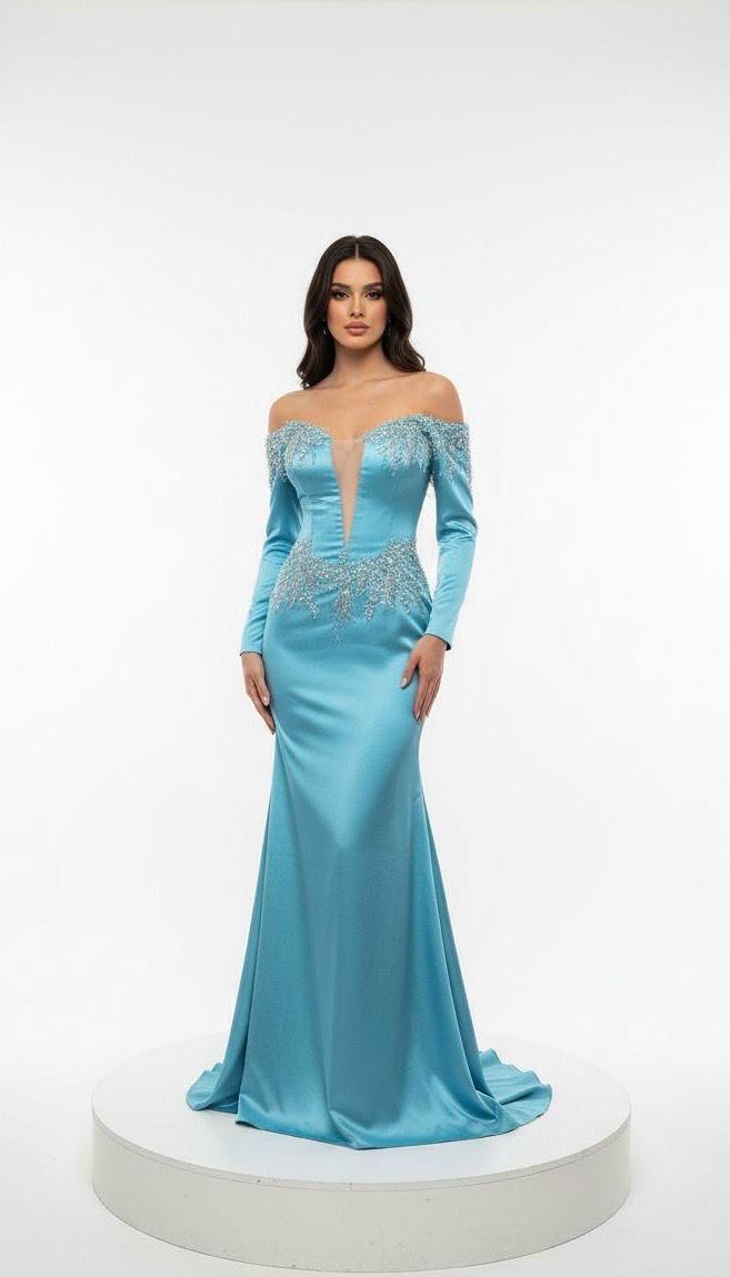 Long Sleeved Gown