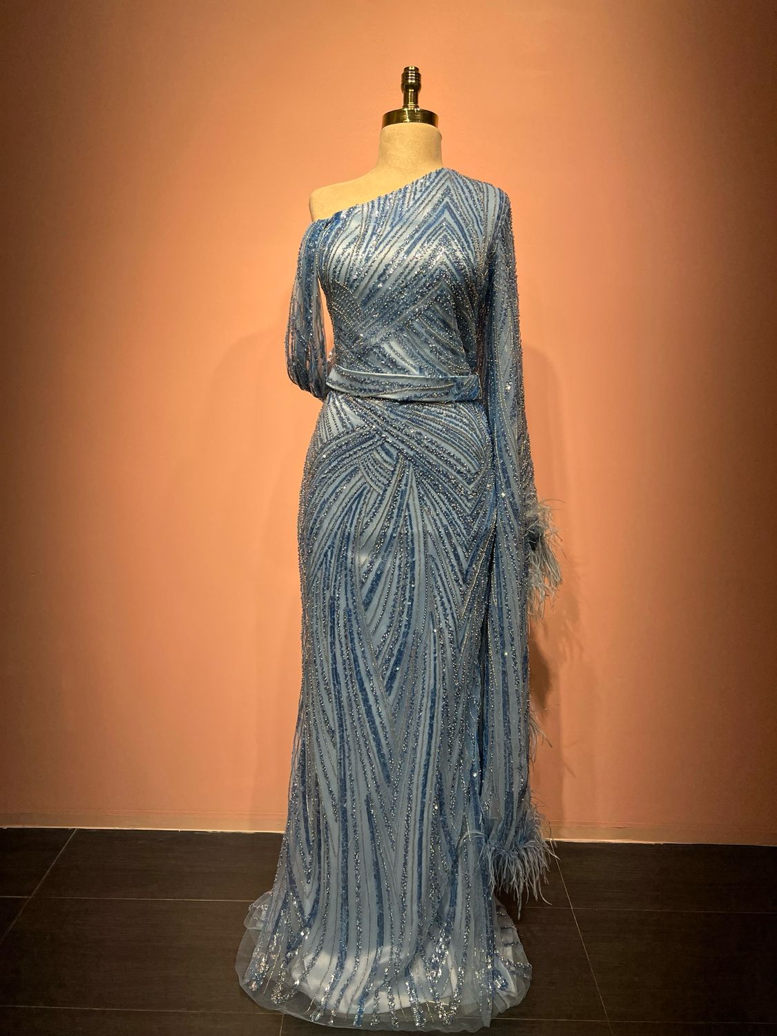 Feather Sleeved Gown