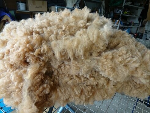 Skirted Fawn Fleece - Bambini Skirted Fawn Fleece - Bambini