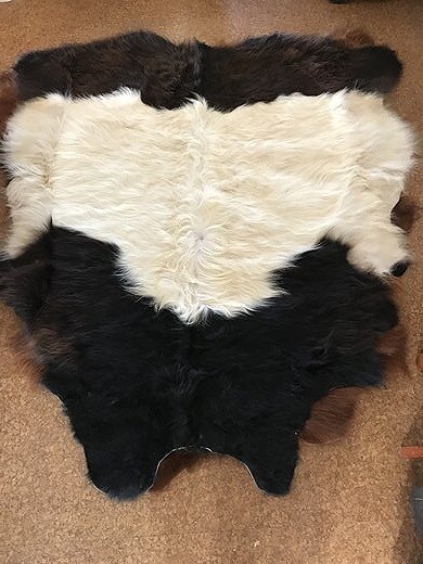 Galloway Cow Hide Galloway Cow Hide