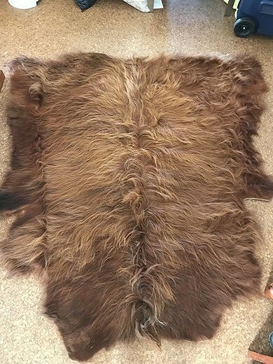 Highland Cow Hide Highland Cow Hide
