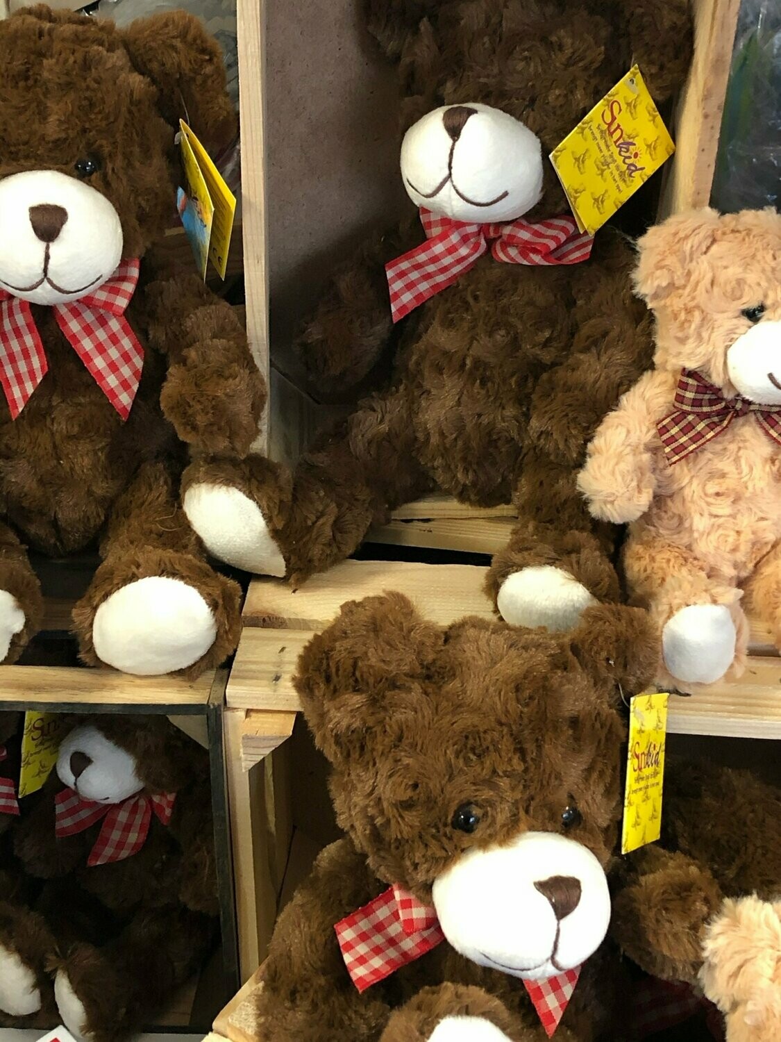 Teddybär mit Schleife